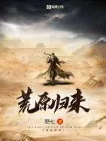 《荒原归来》小说封面