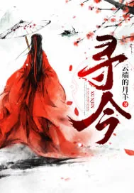 《寻今》小说封面