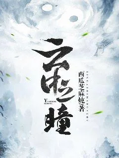 《云中之瞳》小说封面