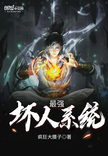 《最强坏人系统》小说封面