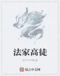 《法家高徒》小说封面