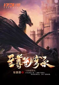 《至尊苍穹录》小说封面