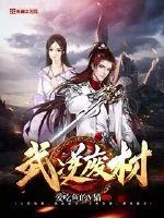 《武逆废材》小说封面