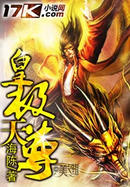 《皇极天尊》小说封面