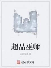 《超品巫师》小说封面