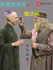 《影视世界里的魔法师》小说封面