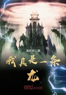 《我真是一条龙》小说封面