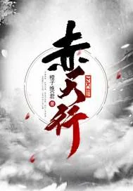 《赤天行》小说封面