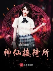 《神仙接待所》小说封面