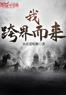 《我跨界而来》小说封面