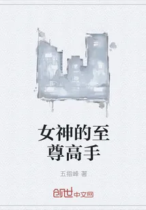 《女神的至尊高手》小说封面