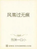 《风雪过无痕》小说封面