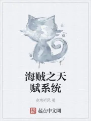 《海贼之天赋系统》小说封面