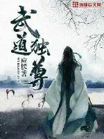 《武道独尊》小说封面