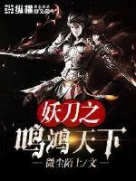 《妖刀之鸣鸿天下》小说封面