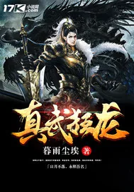 《真武狂龙》小说封面