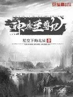 《神魔至尊记》小说封面