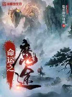 《命运之魔途》小说封面