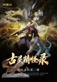 《古灵精怪录》小说封面