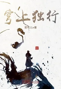 《穹上独行》小说封面