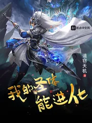 《我的圣体能进化》小说封面