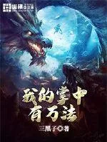 《我的掌中有万法》小说封面