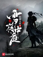 《雪落中庭》小说封面