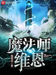 《魔法师维恩》小说封面