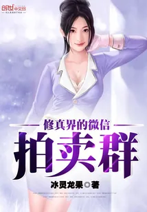 《修真界的微信拍卖群》小说封面