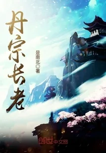 《丹宗长老》小说封面