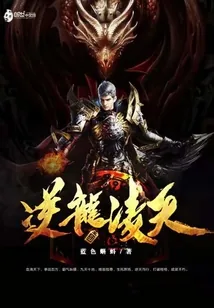 《逆龙凌天》小说封面