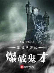 《霍格沃茨的爆破鬼才》小说封面