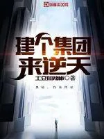 《建个集团来逆天》小说封面