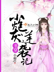 《书穿小炮灰逆袭记》小说封面