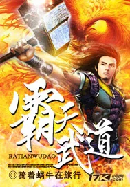 《霸天武道》小说封面