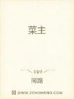 《菜主》小说封面