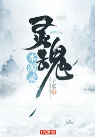 《灵魂本源录》小说封面