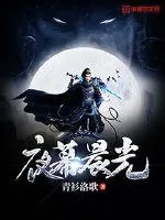 《夜幕晨光》小说封面