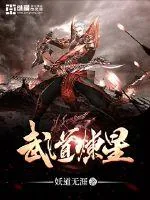 《武道炼星》小说封面