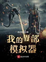 《我的胃部模拟器》小说封面