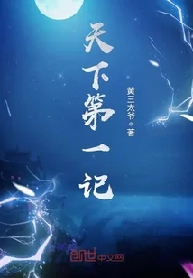 《天下第一记》小说封面