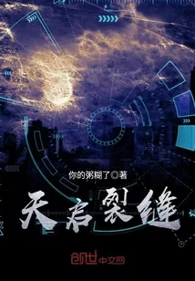 《天启裂缝》小说封面