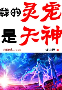 《我的灵宠是天神》小说封面