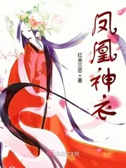 《凤凰神衣》小说封面