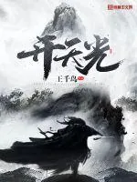 《开天光》小说封面