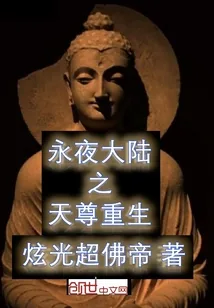 《永夜大陆之天尊重生》小说封面