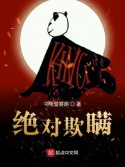 《绝对欺瞒》小说封面