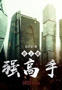 《史上最强高手》小说封面
