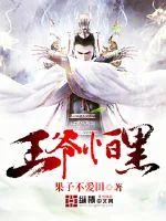 《王爷怕黑》小说封面