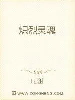 《炽烈灵魂》小说封面